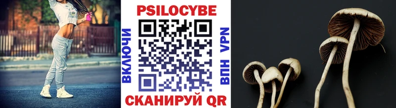 Купить где  Прокопьевск  Псилоцибиновые грибы Psilocybine cubensis 