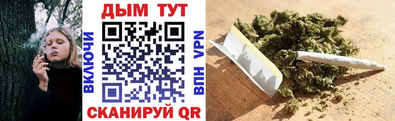 Купить  Прокопьевск  Шишки марихуана гибрид 